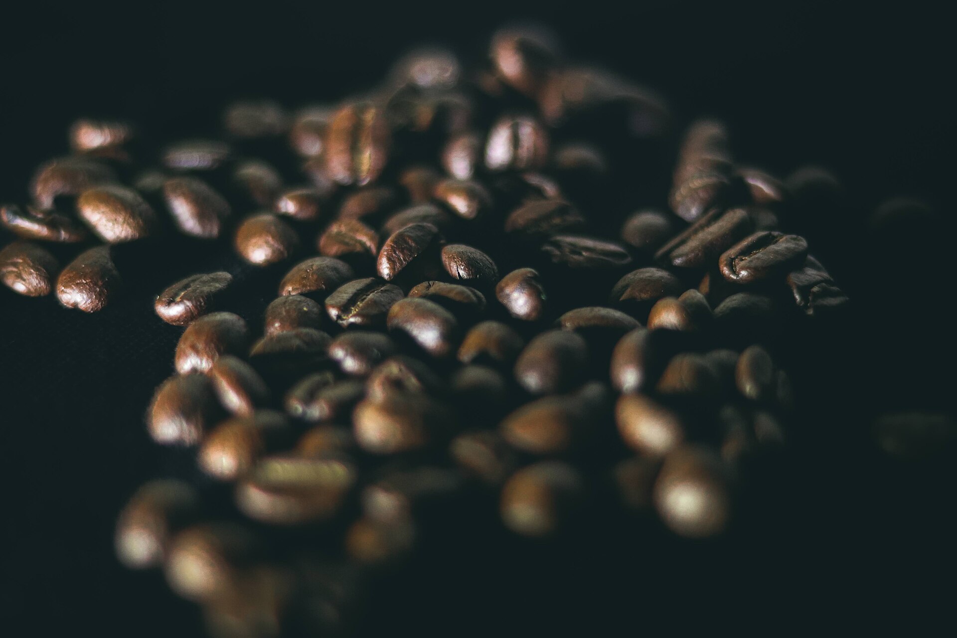 Granos de café tostado sobre fondo oscuro